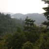 Album_img_5153