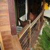 Album_img_5155