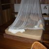Album_img_5157