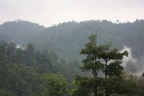 Preview_img_5133