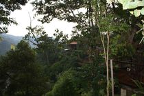 Preview_img_5138