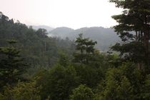 Preview_img_5153