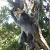 Album_img_0276