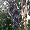 Album_img_0280