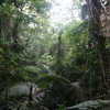Album_img_5820