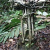 Album_img_5824