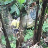 Album_img_5826