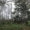 Album_img_5836