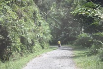 Preview_img_5717