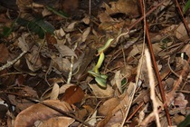 Preview_img_5738