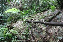 Preview_img_5757