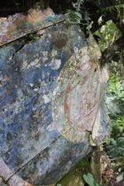 Preview_img_5806