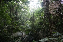 Preview_img_5820