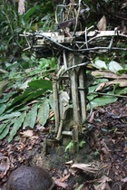 Preview_img_5824
