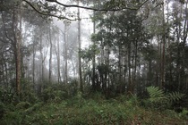 Preview_img_5836